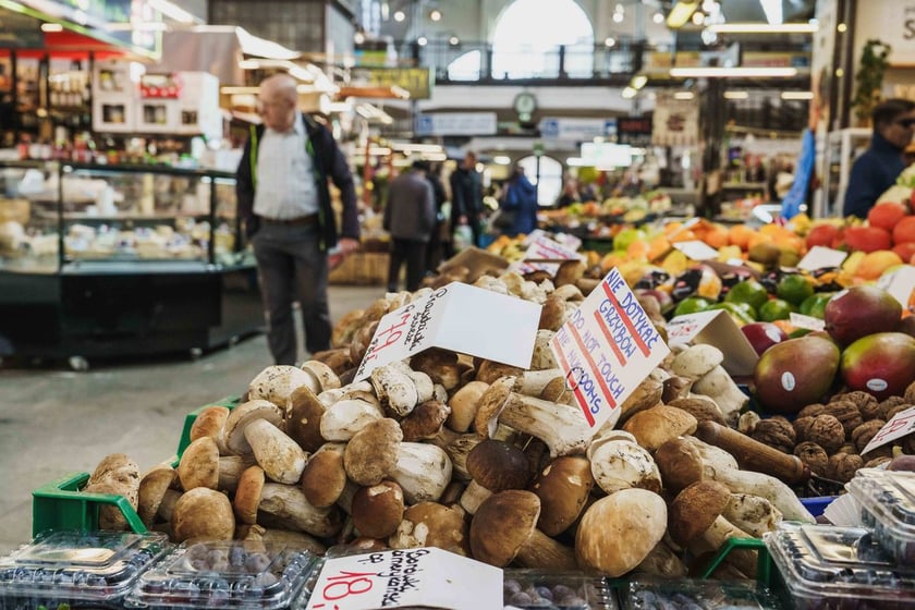 Stoiska z grzybami w Hali Targowej we Wrocławiu
