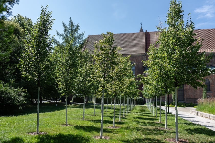 Zagospodarowanie wód opadowych na terenie Wrocławia