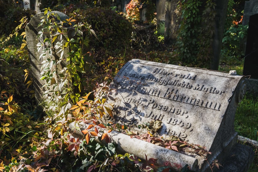 Stary Cmentarz Żydowski przy ul. Ślężnej