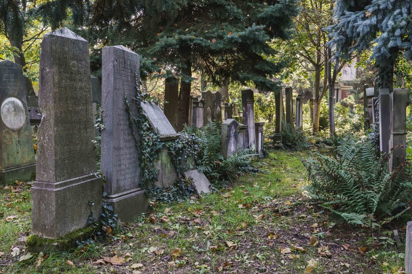 Stary Cmentarz Żydowski przy ul. Ślężnej