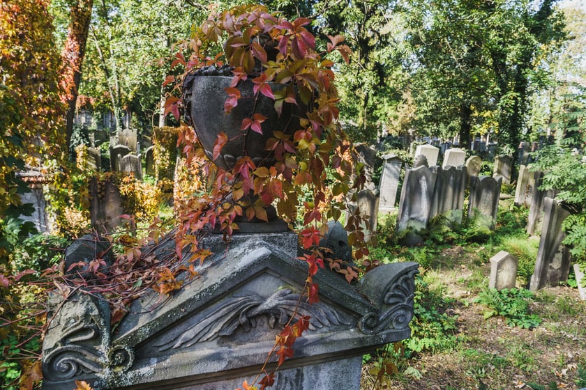 Stary Cmentarz Żydowski przy ul. Ślężnej