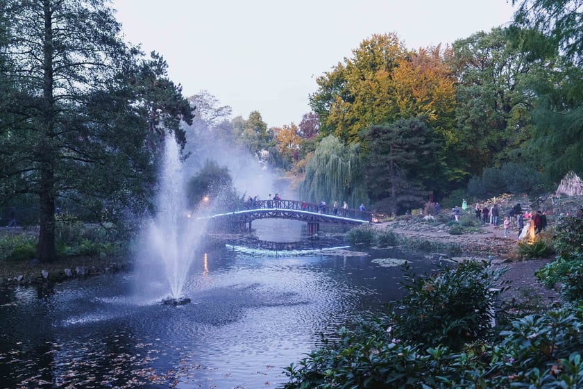 Dyniowe iluminacje w Ogrodzie Botanicznym we Wrocławiu