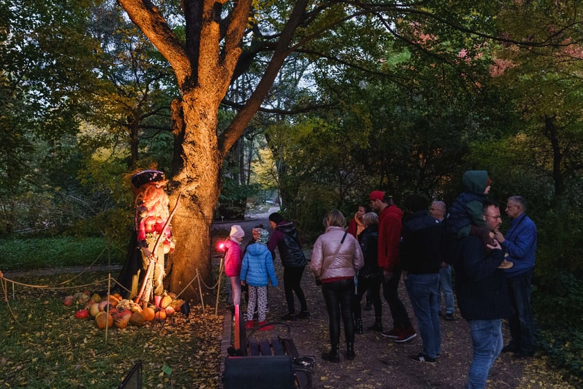 Dyniowe iluminacje w Ogrodzie Botanicznym we Wrocławiu