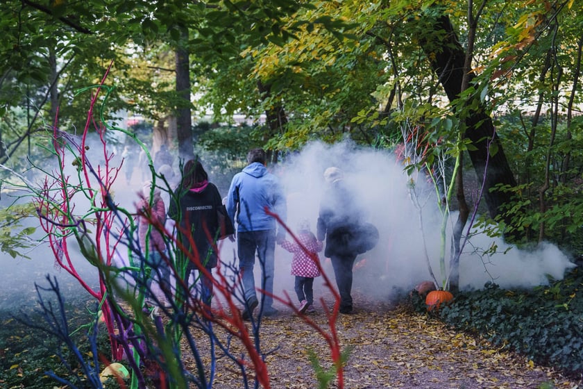 Dyniowe iluminacje w Ogrodzie Botanicznym we Wrocławiu