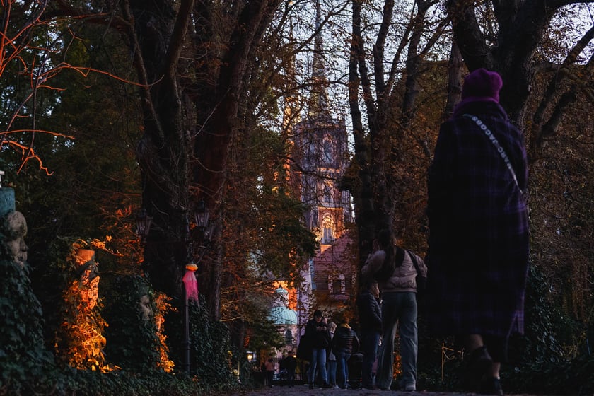 Dyniowe iluminacje w Ogrodzie Botanicznym we Wrocławiu