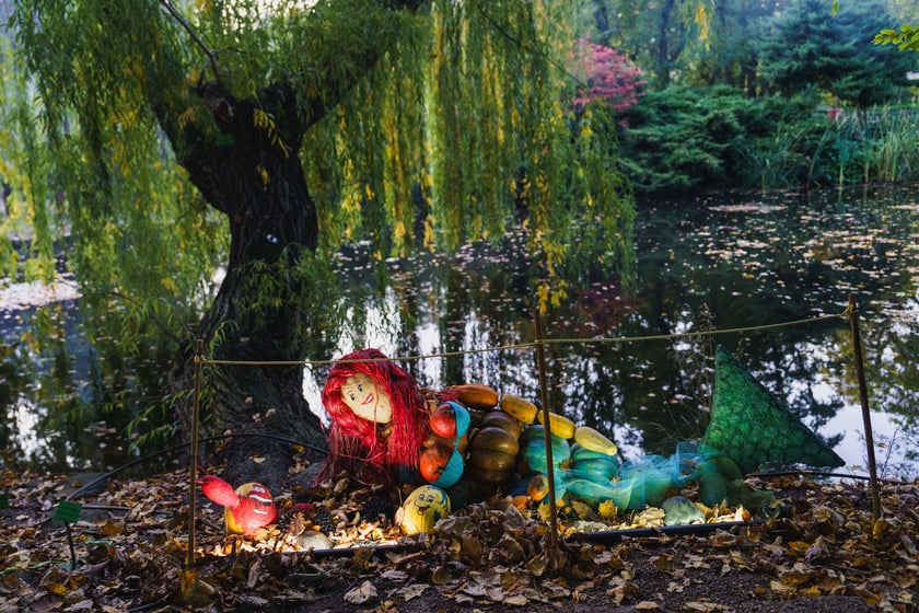 Dyniowe iluminacje w Ogrodzie Botanicznym we Wrocławiu