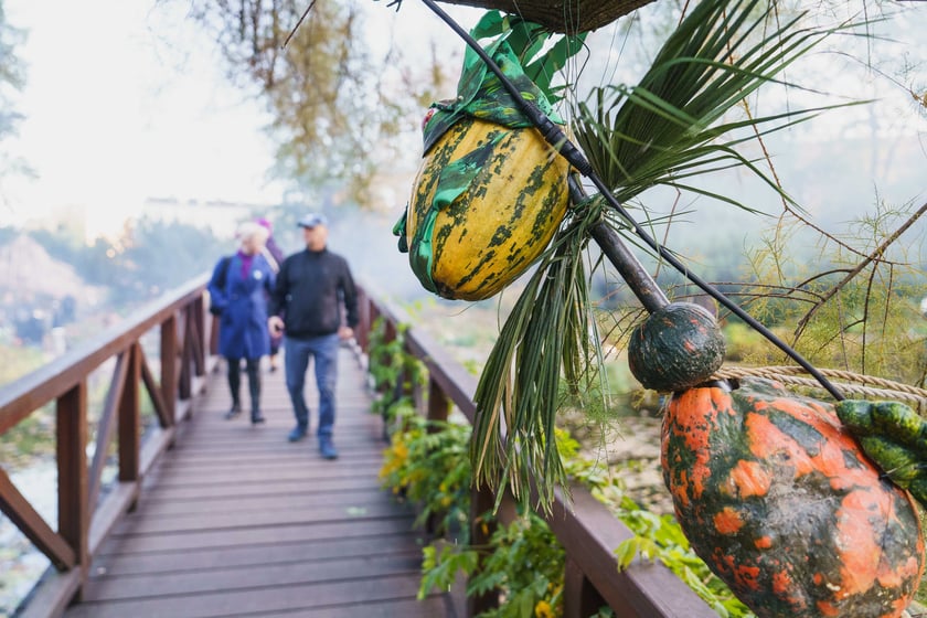 Dyniowe iluminacje w Ogrodzie Botanicznym we Wrocławiu