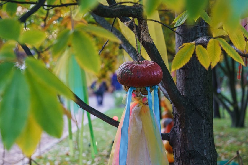 Dyniowe iluminacje w Ogrodzie Botanicznym we Wrocławiu