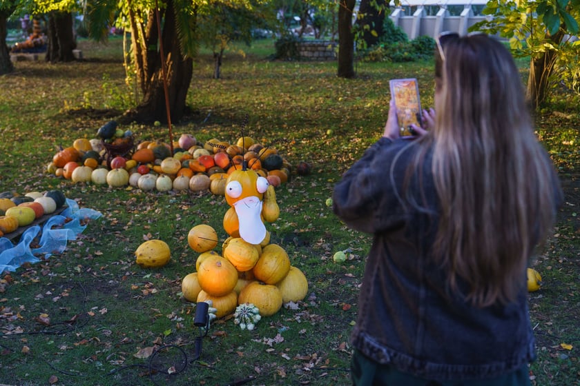 Dyniowe iluminacje w Ogrodzie Botanicznym we Wrocławiu