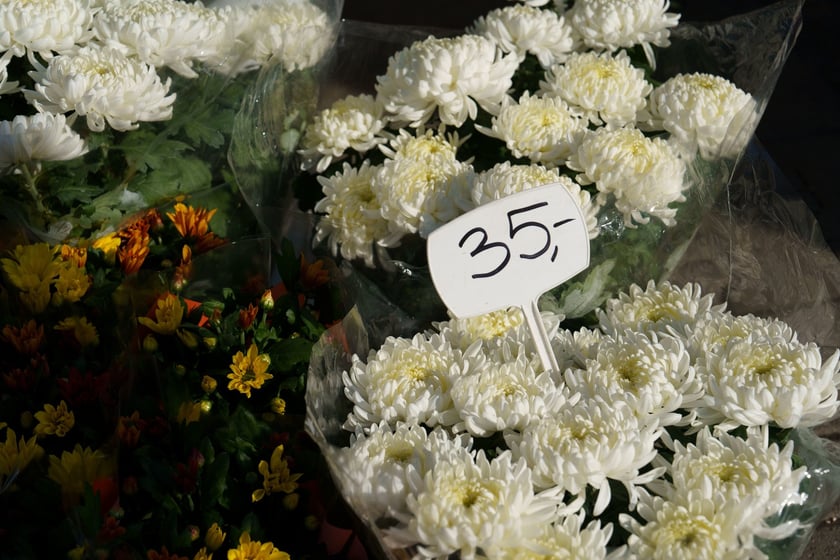 Wszystkich Świętych 2024, cmentarz na Osobowicach, ceny zniczy i stroików