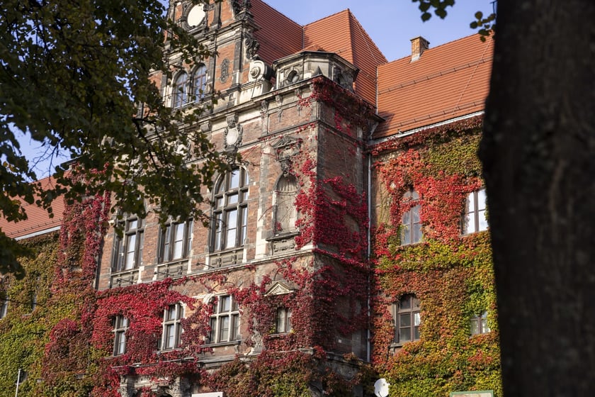 Jesień we Wrocławiu