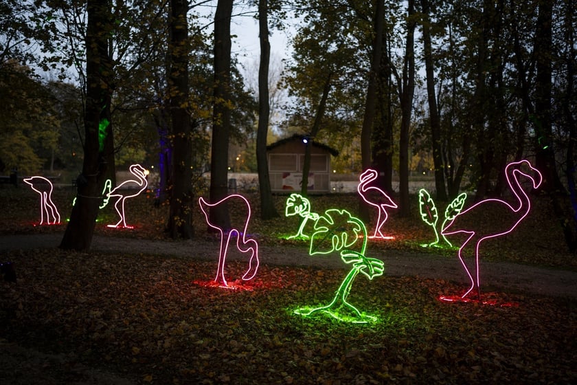 Lumina Park w Zamku Topacz pod Wrocławiem