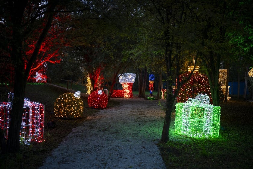 Lumina Park w Zamku Topacz pod Wrocławiem