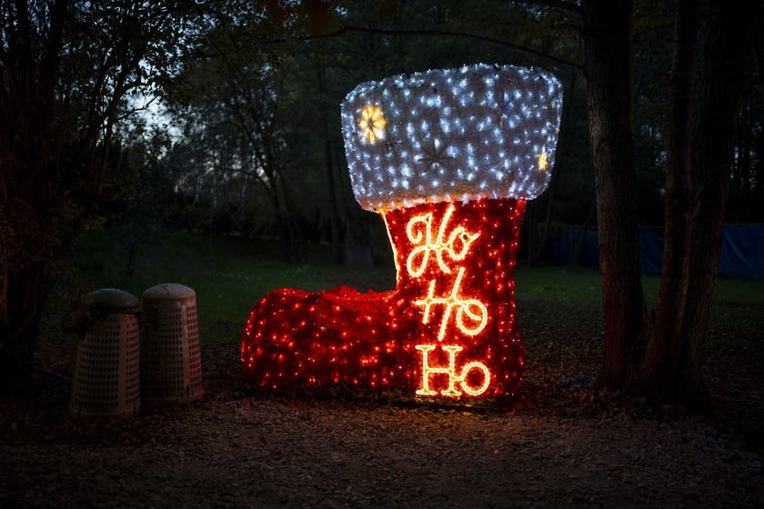 Lumina Park w Zamku Topacz pod Wrocławiem