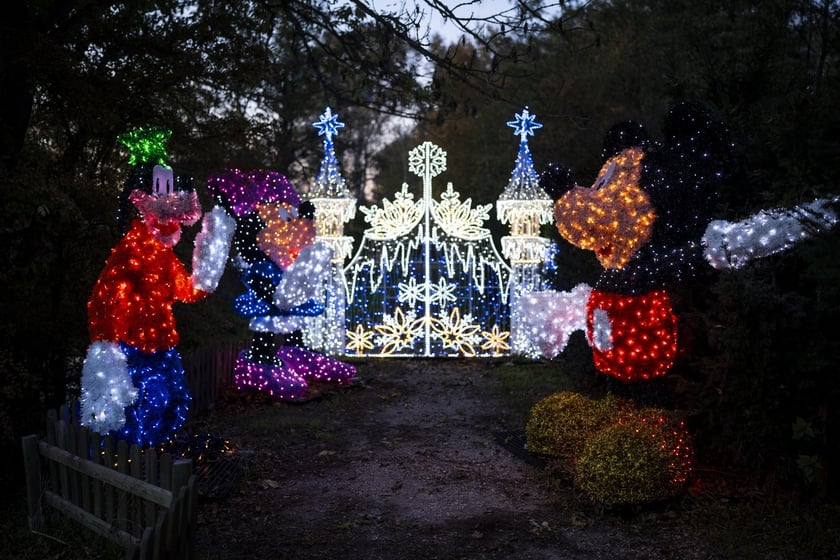 Lumina Park w Zamku Topacz pod Wrocławiem