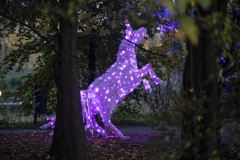 Lumina Park w Zamku Topacz pod Wrocławiem