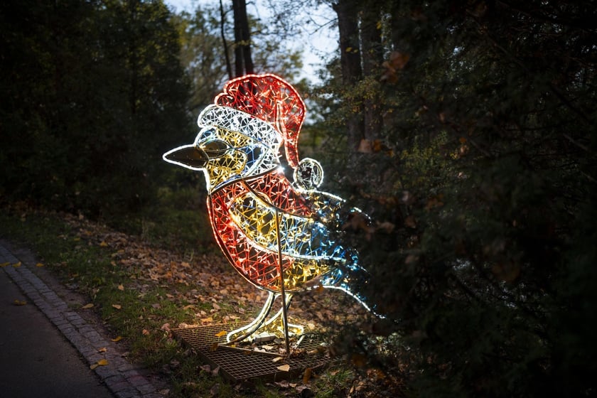 Lumina Park w Zamku Topacz pod Wrocławiem