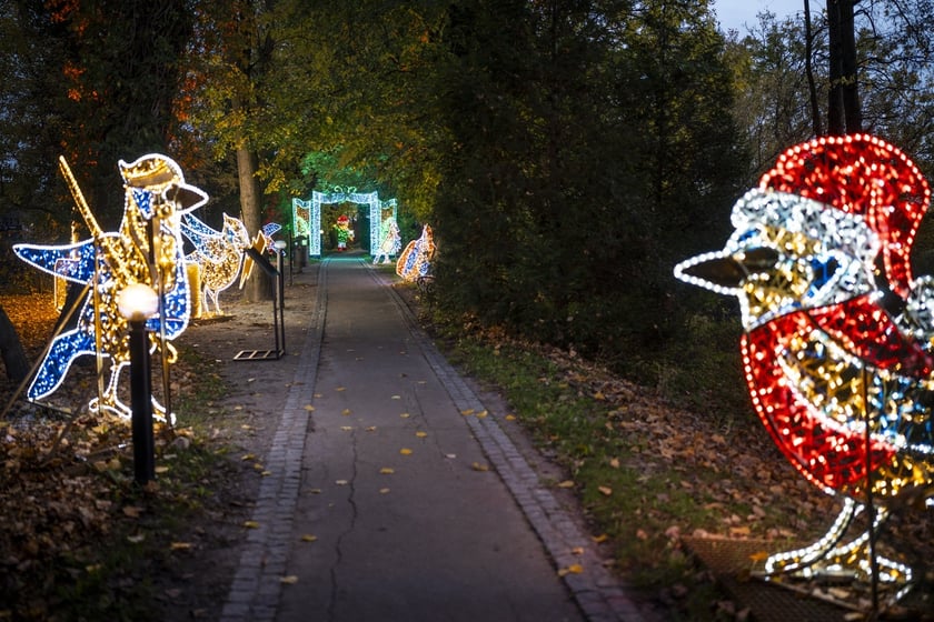 Lumina Park w Zamku Topacz pod Wrocławiem