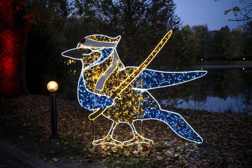 Lumina Park w Zamku Topacz pod Wrocławiem