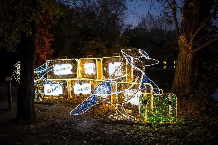 Lumina Park w Zamku Topacz pod Wrocławiem