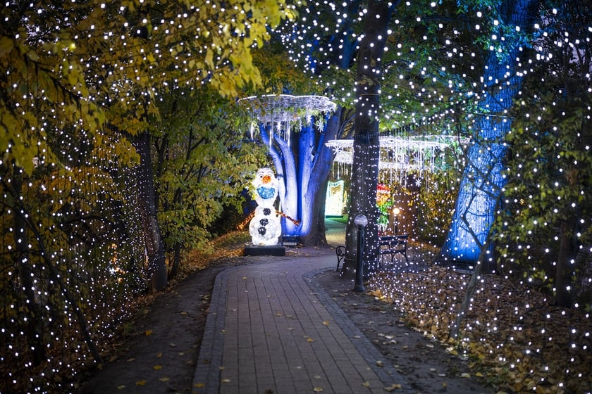 Lumina Park w Zamku Topacz pod Wrocławiem