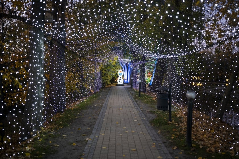 Lumina Park w Zamku Topacz pod Wrocławiem