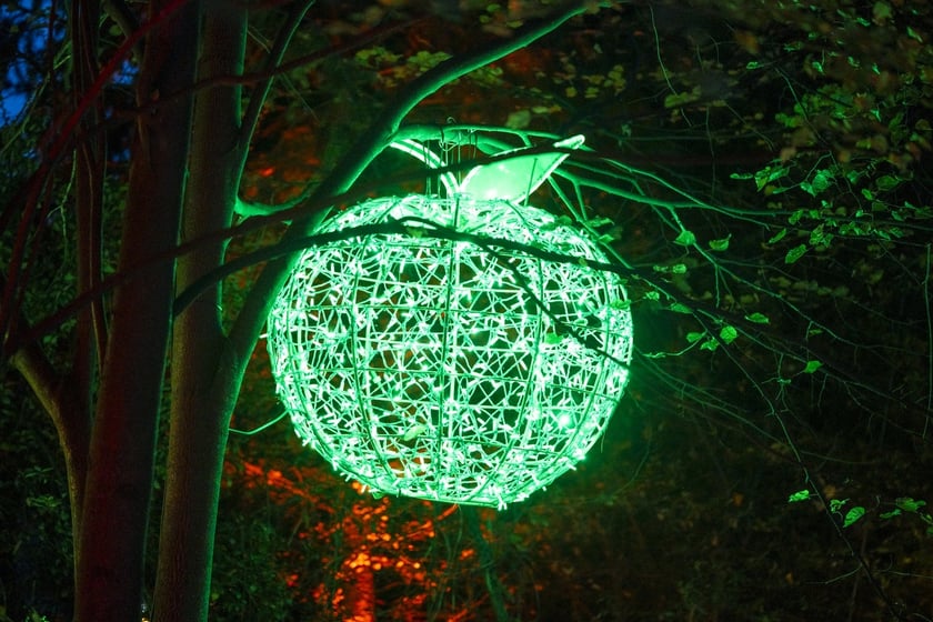 Lumina Park w Zamku Topacz pod Wrocławiem