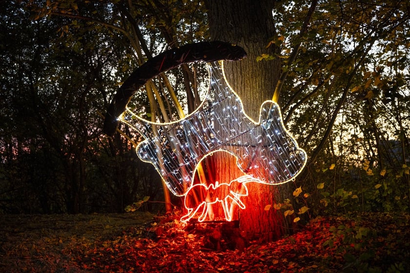 Lumina Park w Zamku Topacz pod Wrocławiem