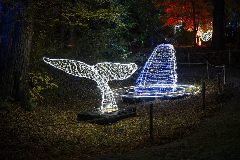 Lumina Park w Zamku Topacz pod Wrocławiem