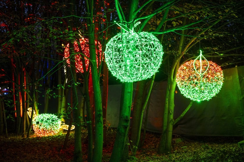 Lumina Park w Zamku Topacz pod Wrocławiem