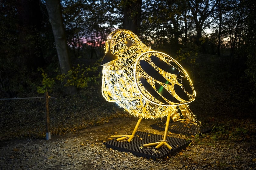 Lumina Park w Zamku Topacz pod Wrocławiem