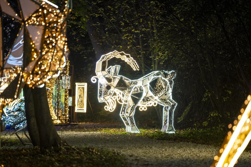 Lumina Park w Zamku Topacz pod Wrocławiem