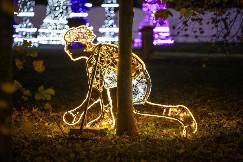 Lumina Park w Zamku Topacz pod Wrocławiem