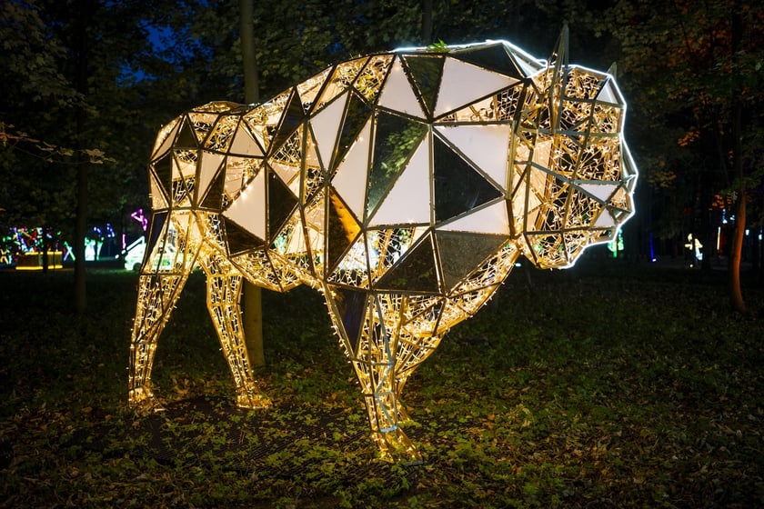 Lumina Park w Zamku Topacz pod Wrocławiem
