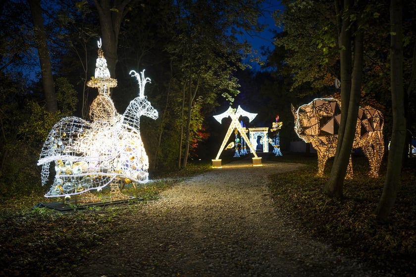 Lumina Park w Zamku Topacz pod Wrocławiem
