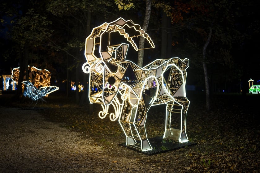 Lumina Park w Zamku Topacz pod Wrocławiem
