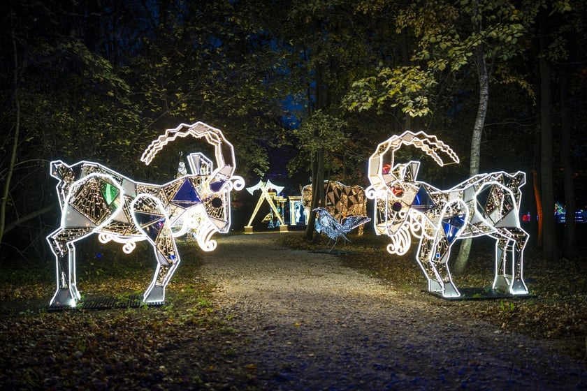 Lumina Park w Zamku Topacz pod Wrocławiem