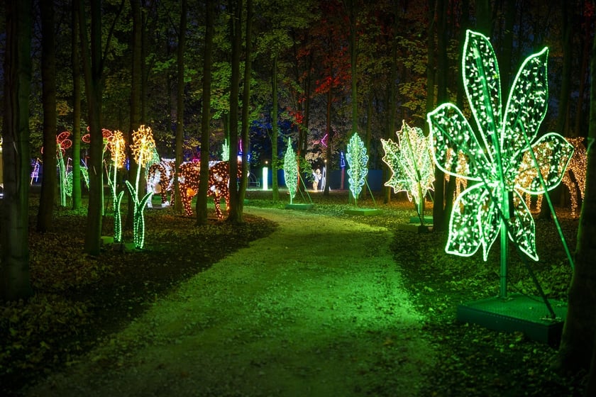 Lumina Park w Zamku Topacz pod Wrocławiem