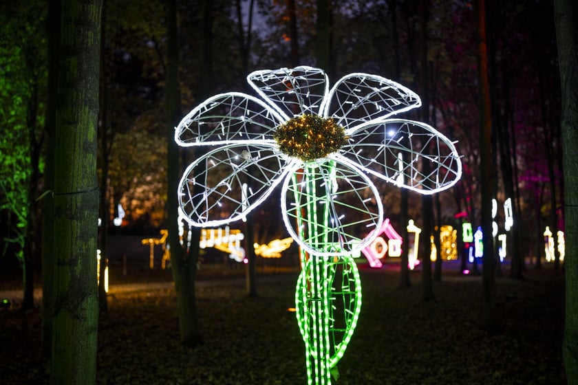 Lumina Park w Zamku Topacz pod Wrocławiem