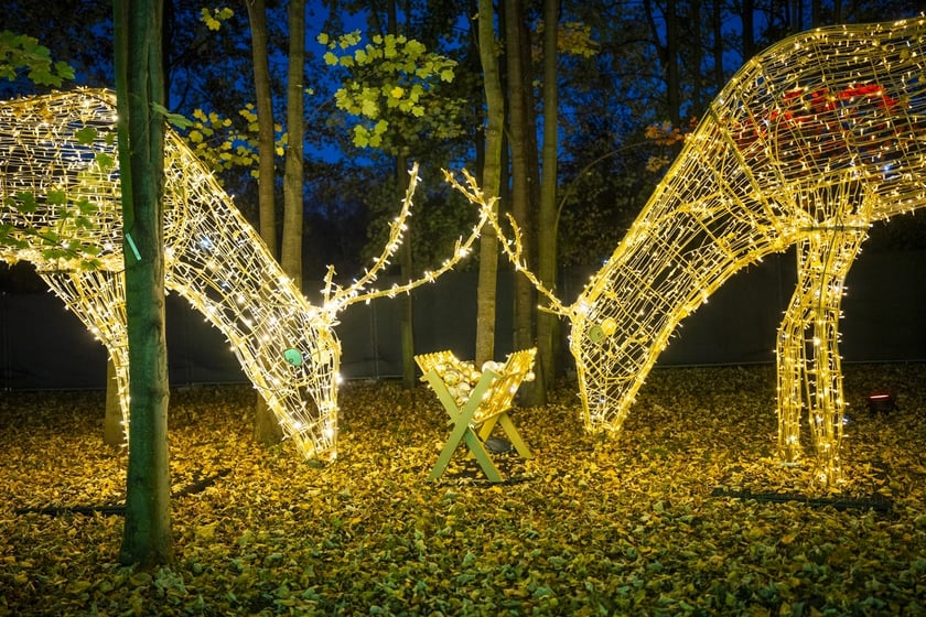 Lumina Park w Zamku Topacz pod Wrocławiem