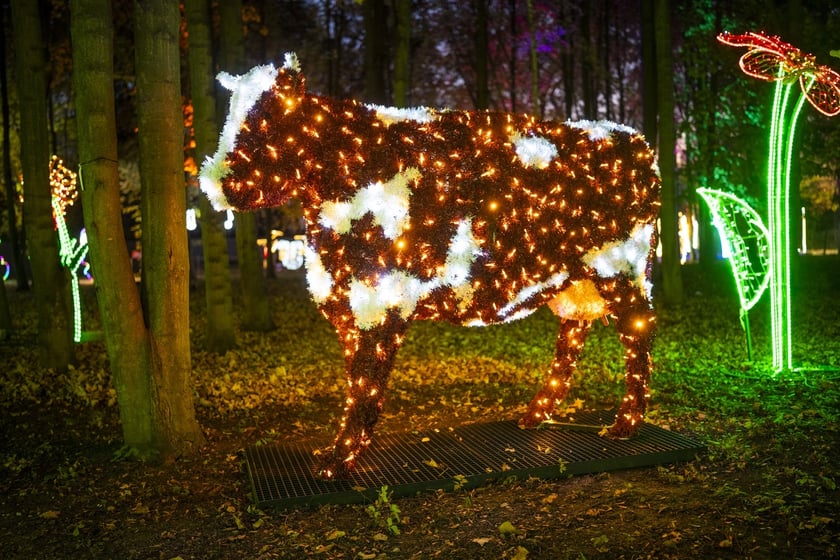 Lumina Park w Zamku Topacz pod Wrocławiem