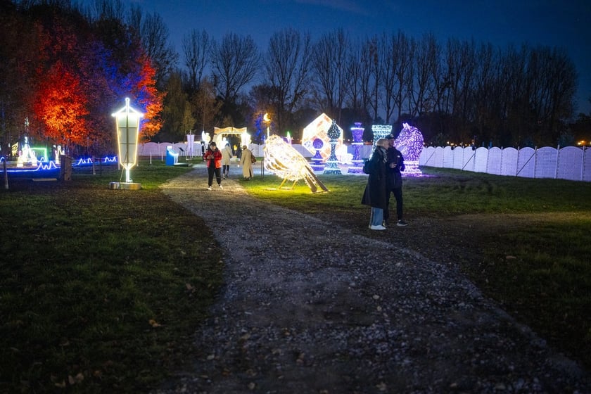 Lumina Park w Zamku Topacz pod Wrocławiem