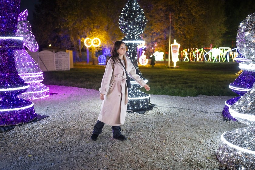 Lumina Park w Zamku Topacz pod Wrocławiem