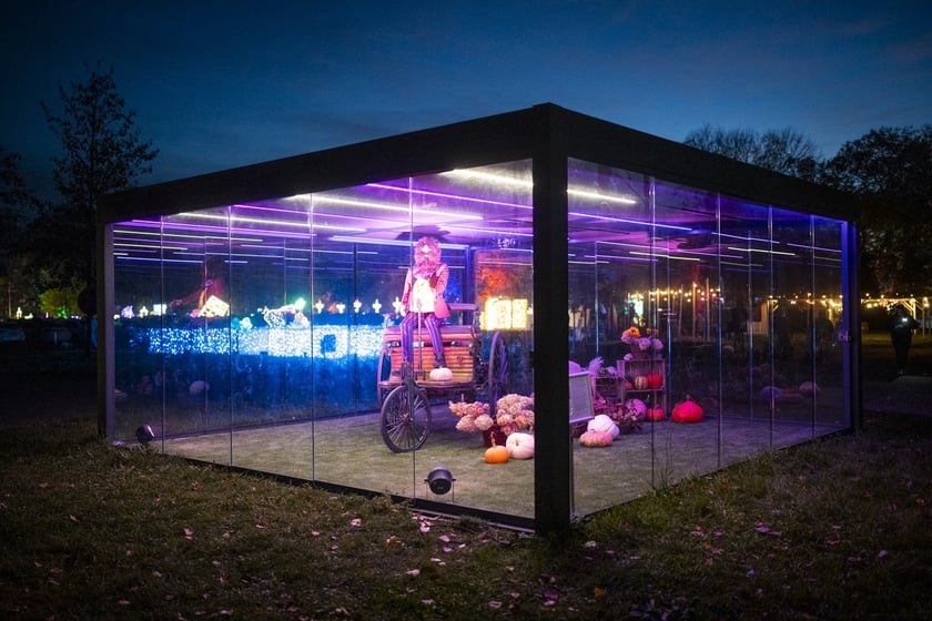 Lumina Park w Zamku Topacz pod Wrocławiem