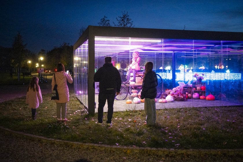 Lumina Park w Zamku Topacz pod Wrocławiem