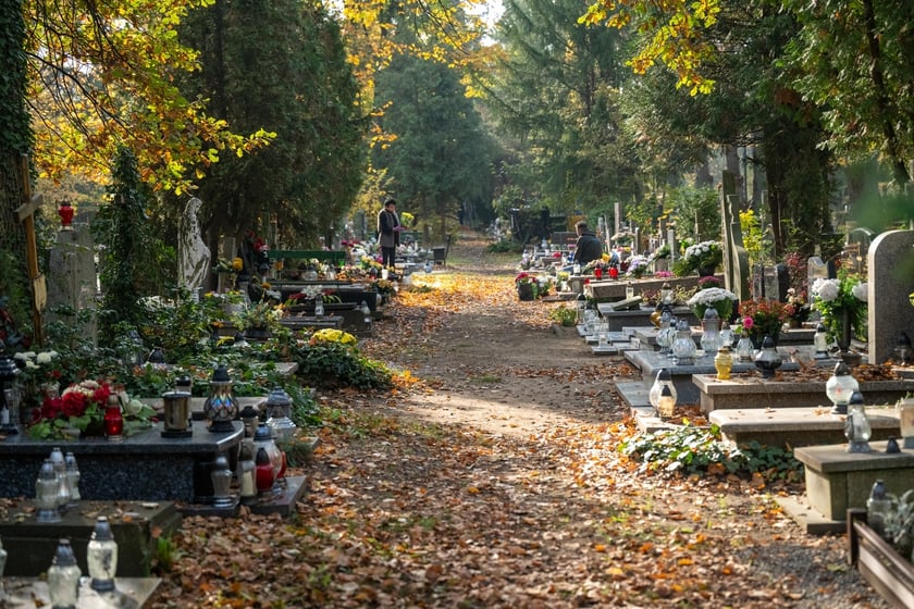 Przygotowania do Wszystkich Świętych na cmentarzu Osobowickim - 27.10.2024