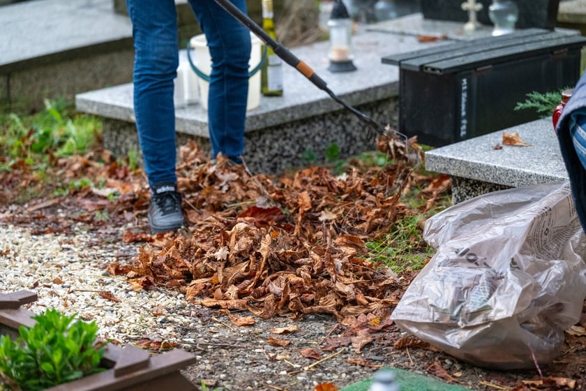 Przygotowania do Wszystkich Świętych na cmentarzu Osobowickim - 27.10.2024