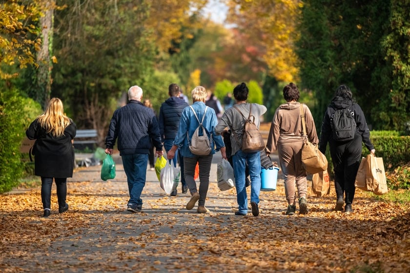 Przygotowania do Wszystkich Świętych na cmentarzu Osobowickim - 27.10.2024