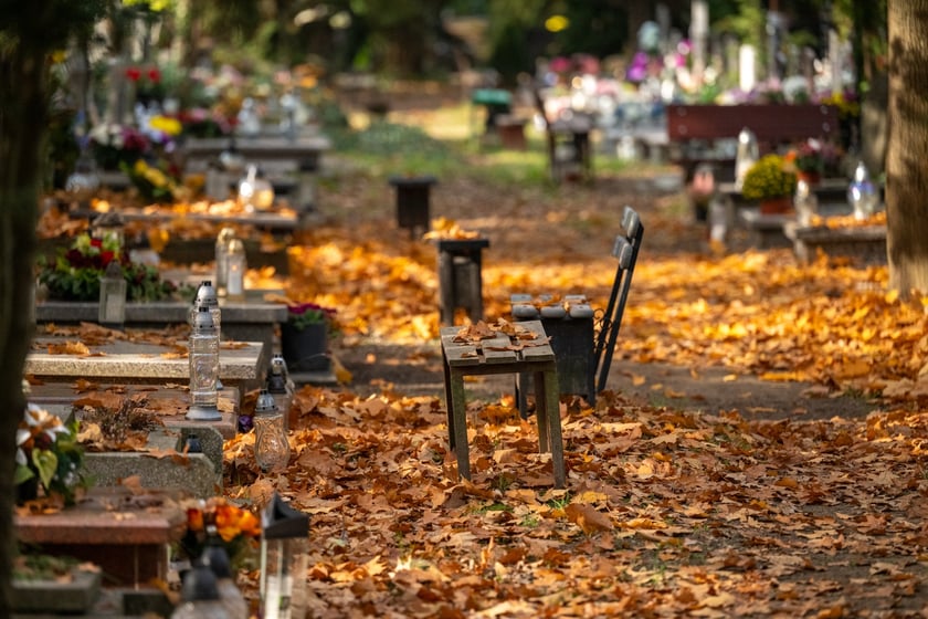 Przygotowania do Wszystkich Świętych na cmentarzu Osobowickim - 27.10.2024