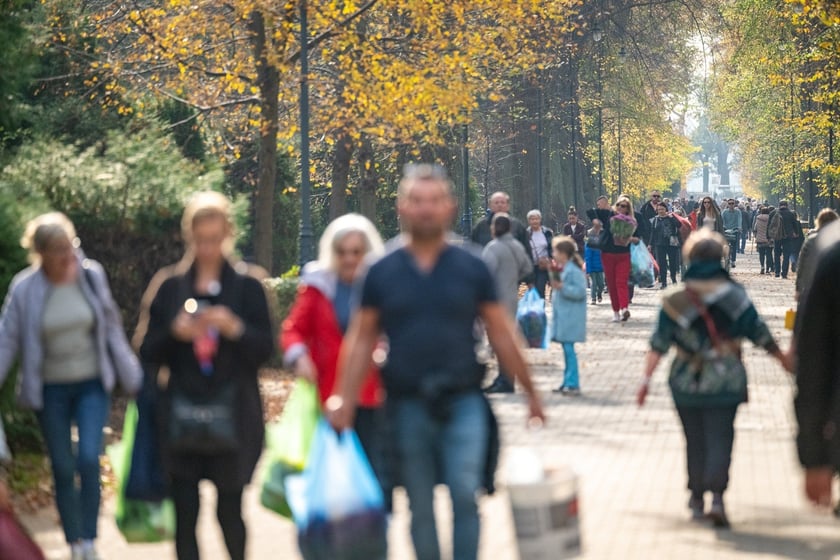 Przygotowania do Wszystkich Świętych na cmentarzu Osobowickim - 27.10.2024